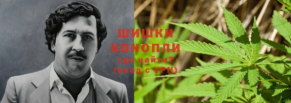 шишки Покров