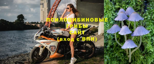 экстази Арсеньев